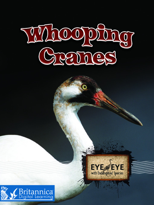 Title details for Whooping Cranes by Precious Stearns - Available